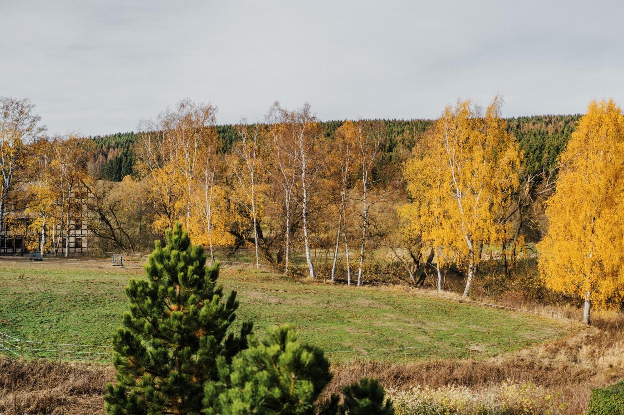 Ferienhaeuser Andrea - Fh 07 - Haus Hoedur Hasselfelde Eksteriør bilde